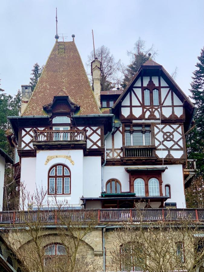 Royal Residence 1901 Sinaia Exteriör bild